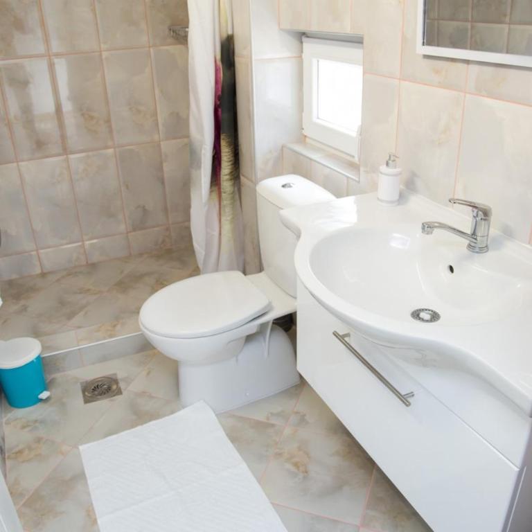 Apartmani "ROSHU" - Dupleks Apartman - 12