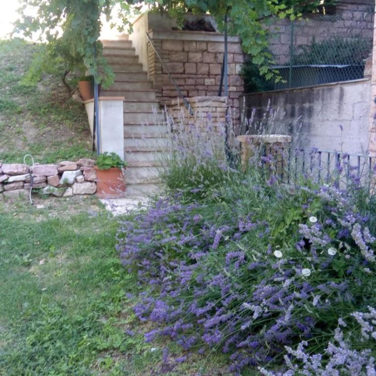 Eden House - Appartamento - 26