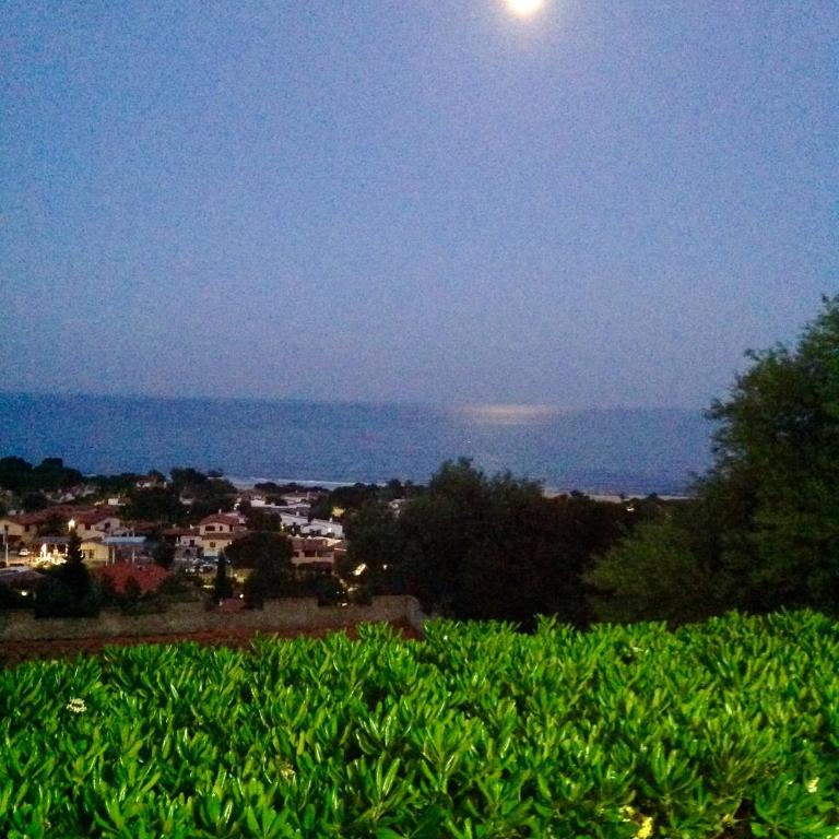 Villa Prua - Villa - 20