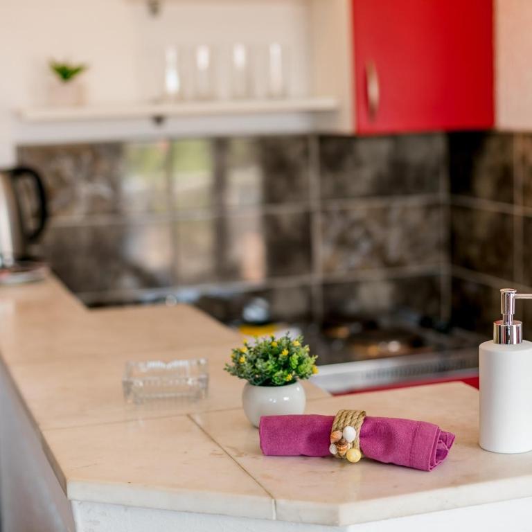 Apartmani Stefanovic - Studio Apartment - 9