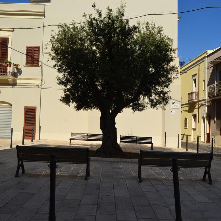 Casa Melania - Appartamento - Piano Terra - 50