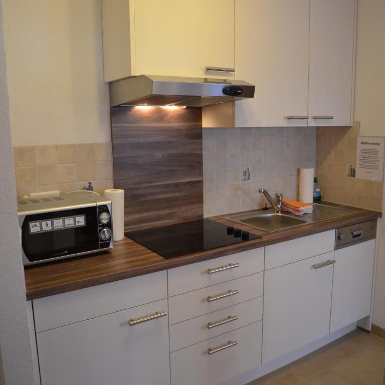 Apartments Bader Leutasch Tirol - Superior Apartment mit 1 Schlafzimmer - 9