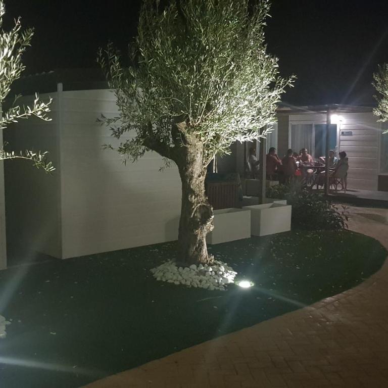Camping Los Llanos - Bungalow Deveses 5 Personas - 8