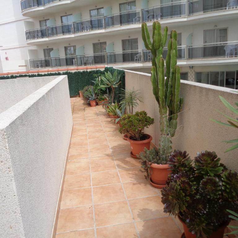 EDIFICIO ALBAMAR 2 - Apartamento de 2 dormitorios - 27
