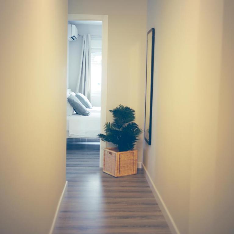 Pinsapo (Centro ciudad) - Apartamento Deluxe - 10