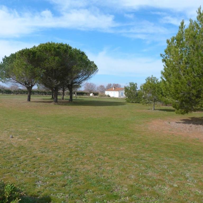 Mas du Clos de la Barque - Apartment - 19
