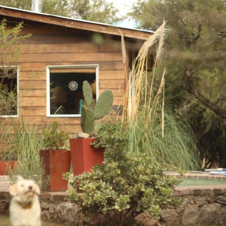 Samsara Traslasierra - Casa con 1 dormitorio - 3