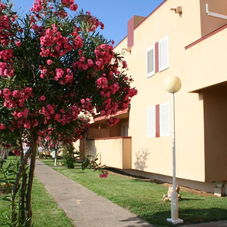 Inmovecos vistas al mar con piscina Alisios 329 - Apartamento con vistas al mar - 24