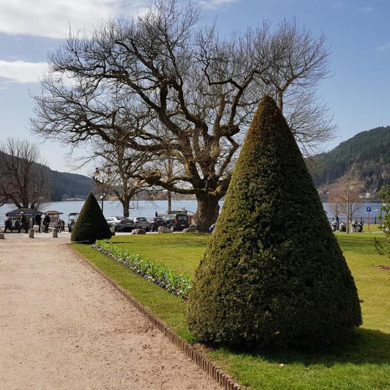 F2 SUR LES HAUTEURS DE GERARDMER - Appartement - 15