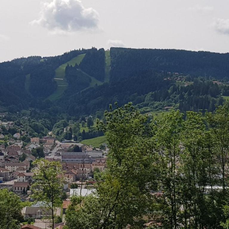 F2 SUR LES HAUTEURS DE GERARDMER - Appartement - 2