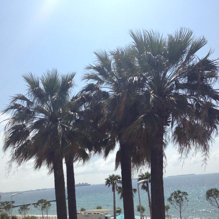 Cannes Terrace Beach Front & Sea view - Apartment mit Terrasse - 60