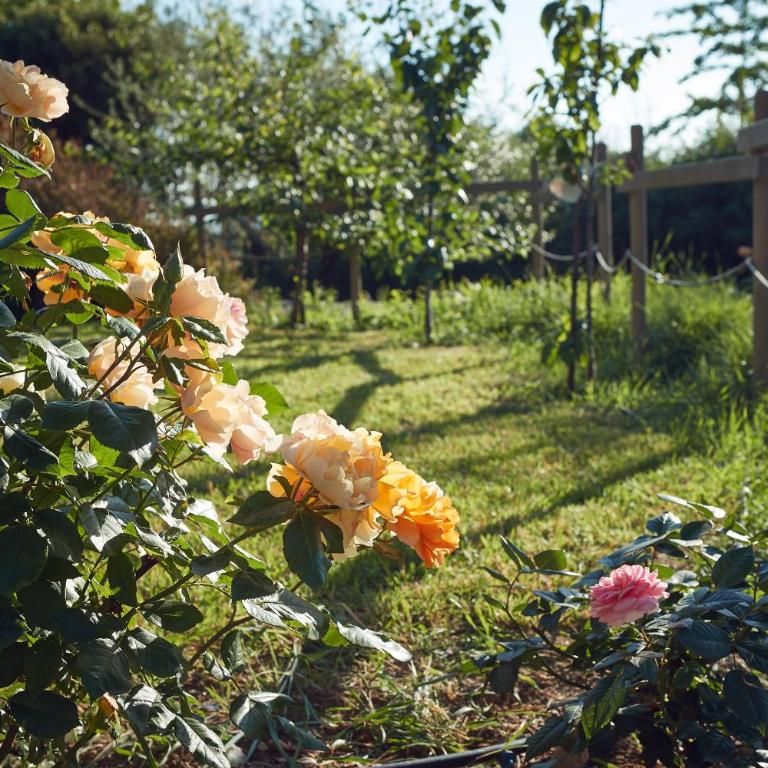 Le Balze Appartamenti - Appartamento con 2 Camere da Letto - 42