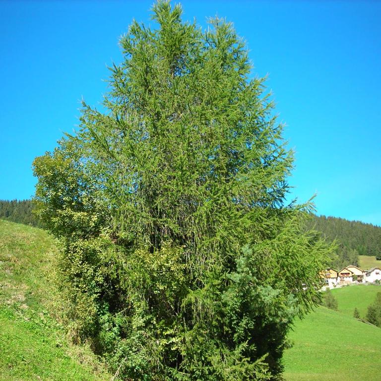 Casa Gogn - Appartamento con 2 Camere da Letto (4 Adulti) - 3
