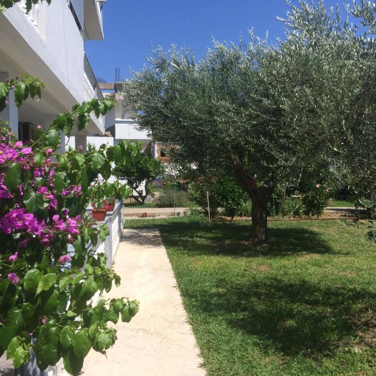 Green Garden - Apartman - Prizemlje - 3