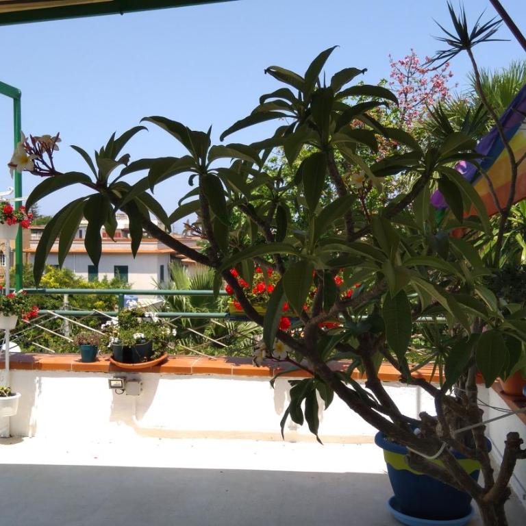 La Casa di Chico - Apartamento con terraza - 26