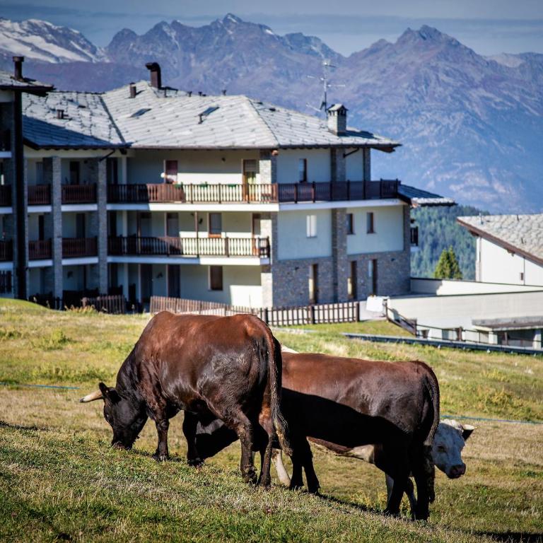 Appartamento Pila Bellevue - Apartment - 29