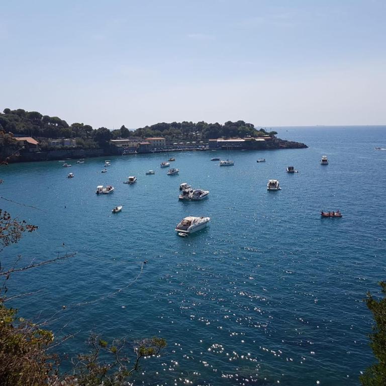 La Terrazza sul Golfo - Appartamento Attico - 19
