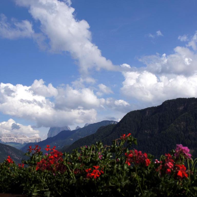 Zehentnerhof - Appartamento con Vista Montagna e Balcone - 2