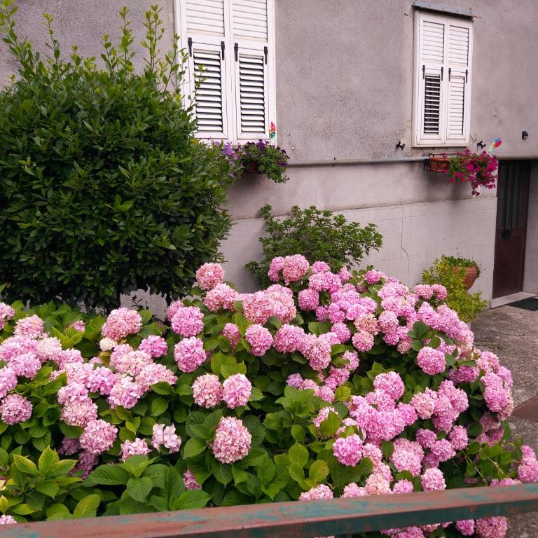 A Casa Di Silvy - Casa Vacanze - 19