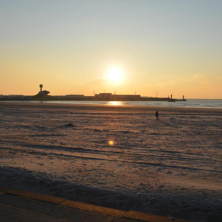 Appart proche plage Nausicaa - Appartement - 17