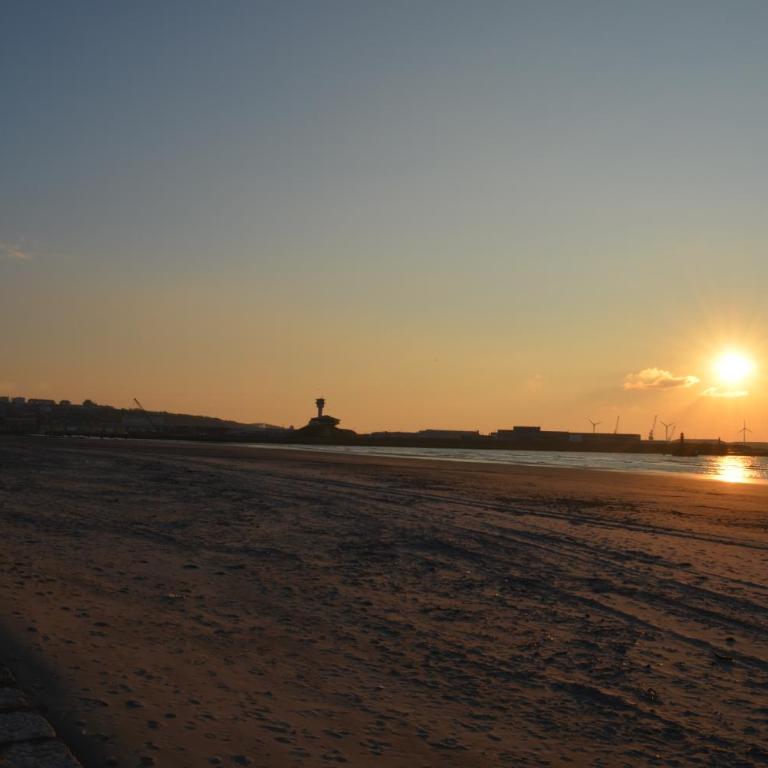 Appart proche plage Nausicaa - Appartement - 26