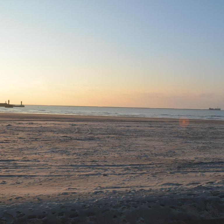 Appart proche plage Nausicaa - Appartement - 28