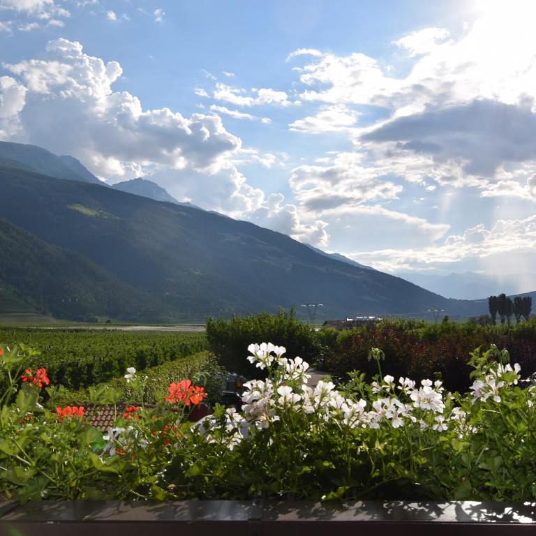 Garnhof - Appartamento con 1 Camera da Letto, Balcone e Vista Montagna - 12