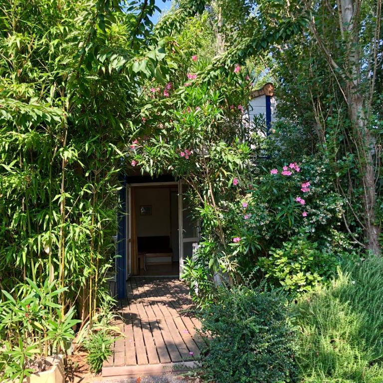 Bungalows & Rooms - Gît'Ôstal - Bungalow - 24