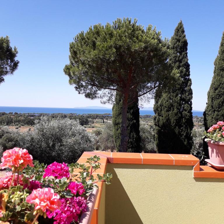 Agriturismo Poggio all'Olivo - Camera Matrimoniale con Balcone (2 Adulti + 1 Bambino) - 10