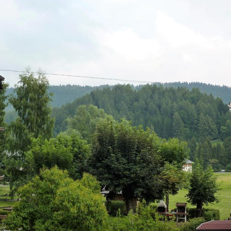 Trentino Apartments - Casa ai Tolleri - Appartamento con 2 Camere da Letto - 17