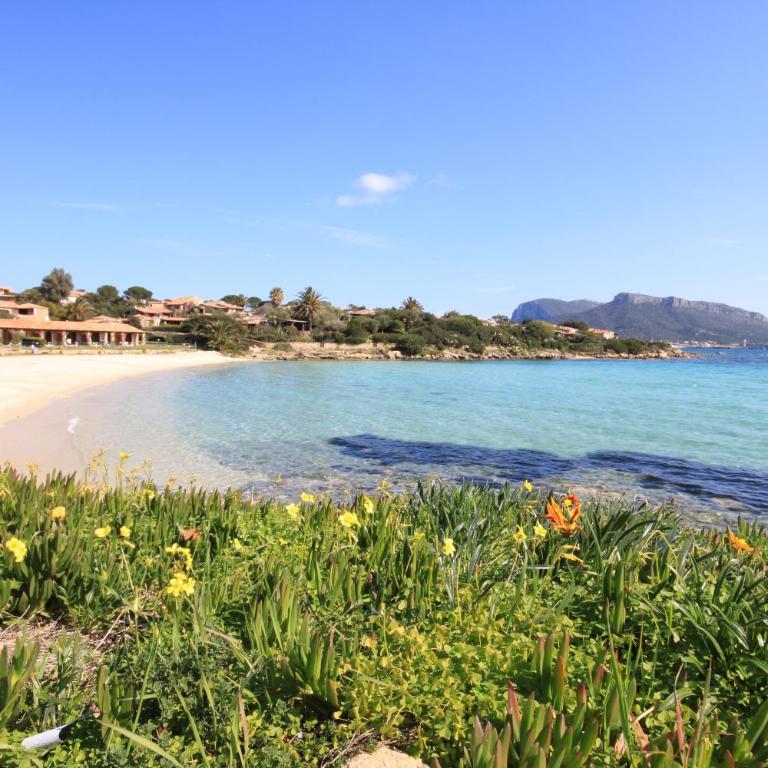 Apartment in S'Abba e Sa Pedra complex with pool - Appartamento - 21
