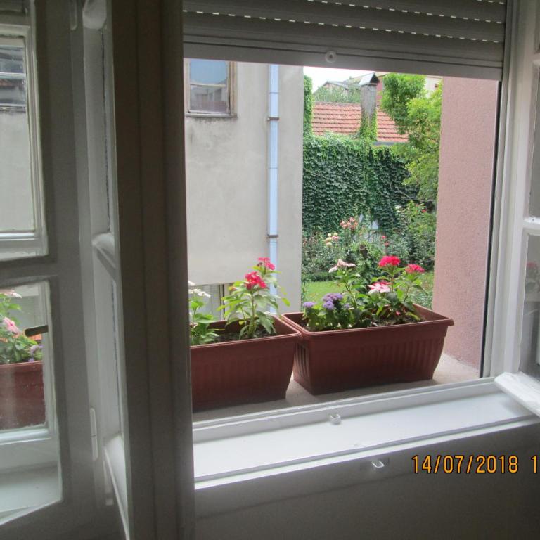 Kuća Popović Apartments - Studio Apartman - 22