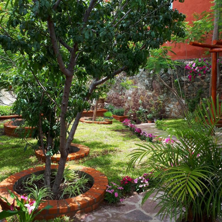 Casita Privada del Chan - Superior King Room - 9