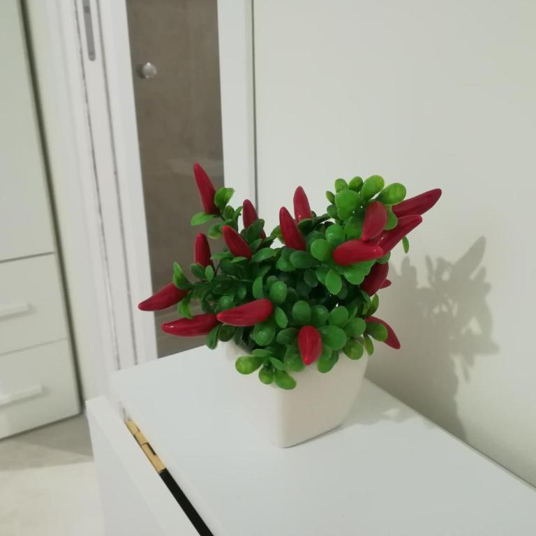 Guest House B&B Via Marina - Monolocale Deluxe - 19