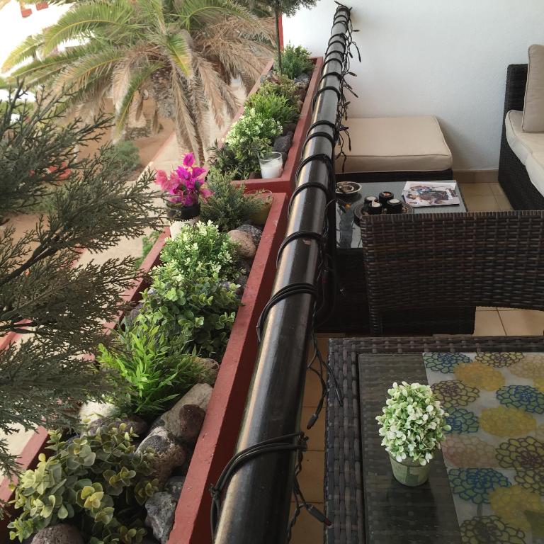 Duplex Apartment in Edificio Altemar - Apartamento - 2 niveles - 40