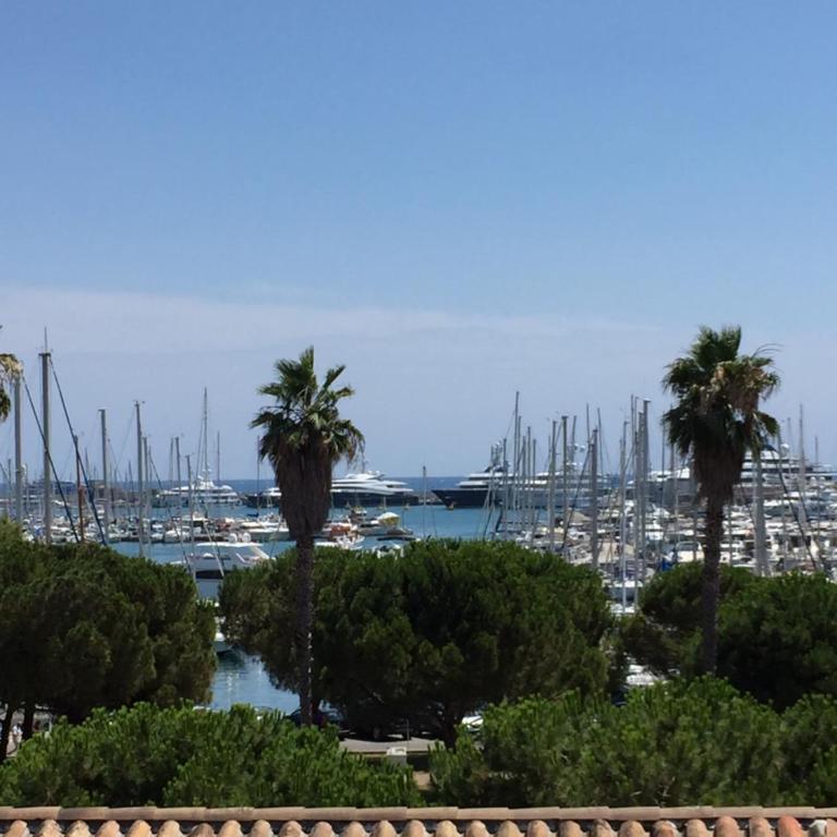 appartement Terrasse magnifique vue mer et yachts - Studio - 1