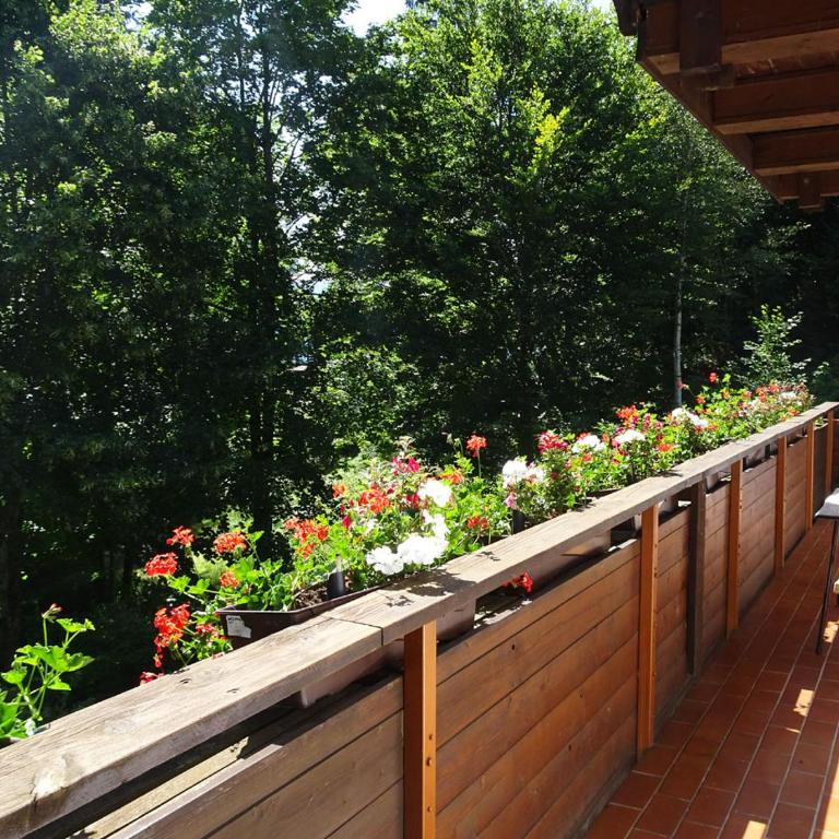Villa im Wald - Apartment mit 1 Schlafzimmer - 11