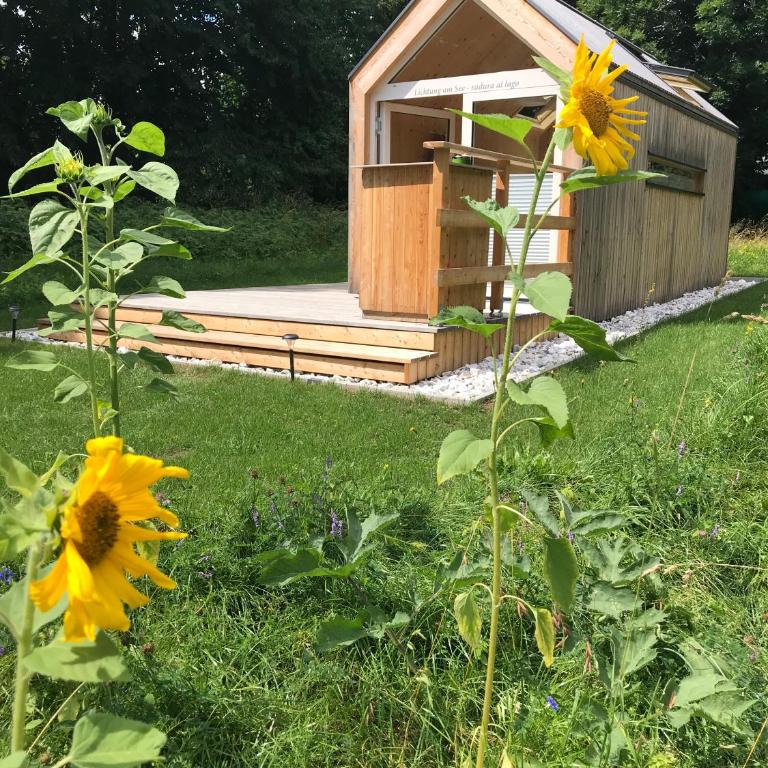 refugium am see - Chalet - 6