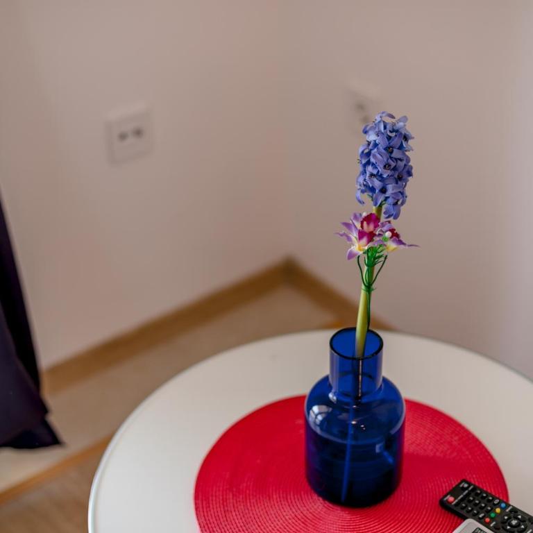Vasic Apartments - Apartment with Sea View - 15
