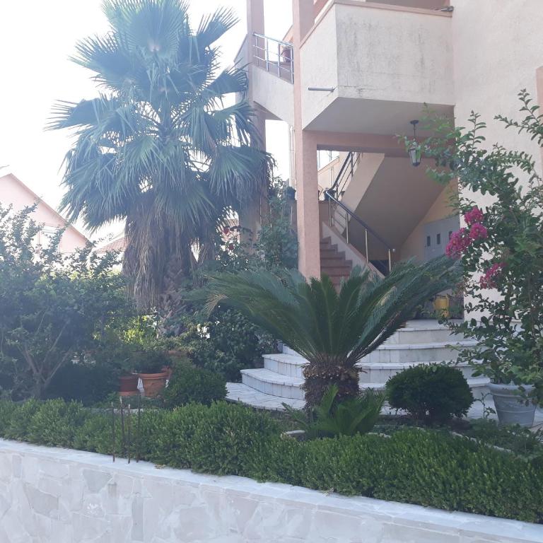 Apartmani Tanja - Apartman sa Terasom - 1