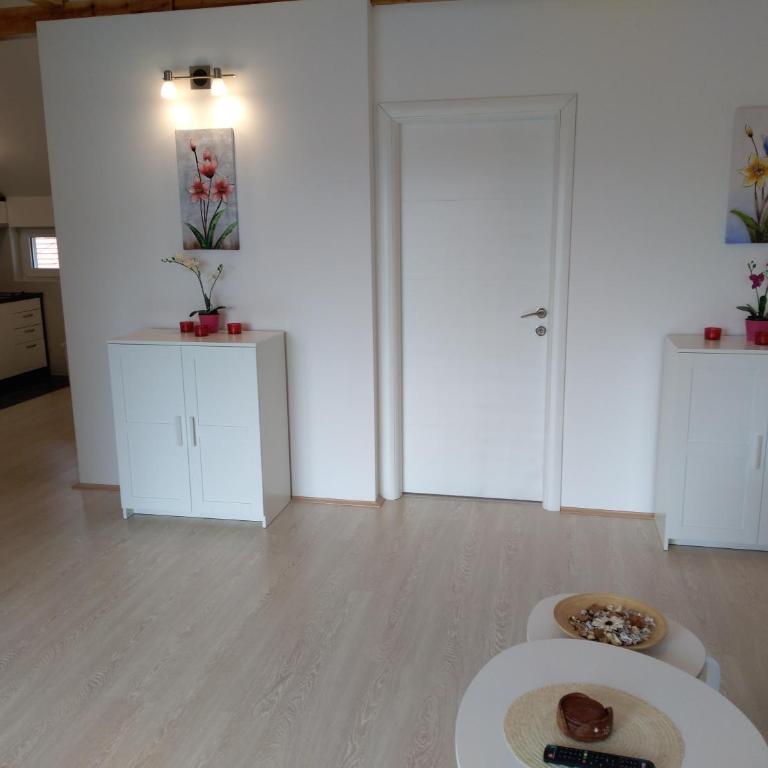 Guest House Stankovic - Apartman sa 1 Spavaćom Sobom - 5