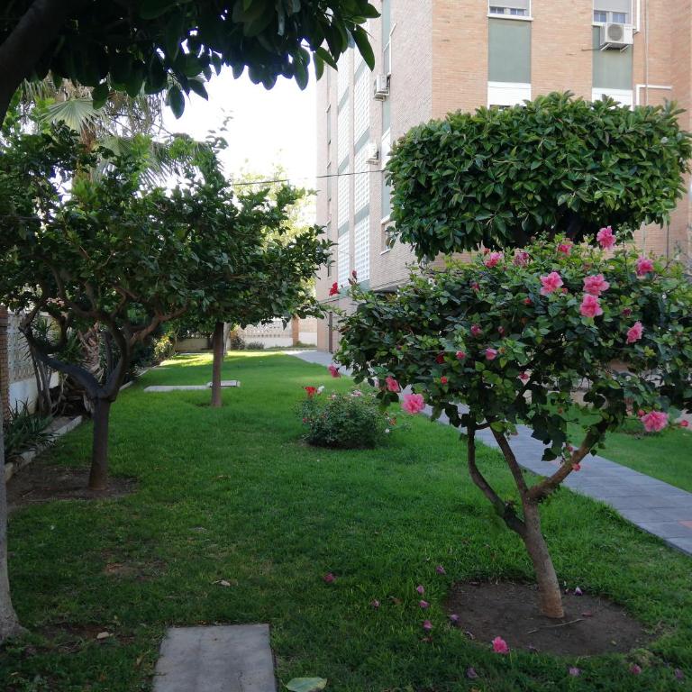 Apartamento Aurora - Apartamento - 53