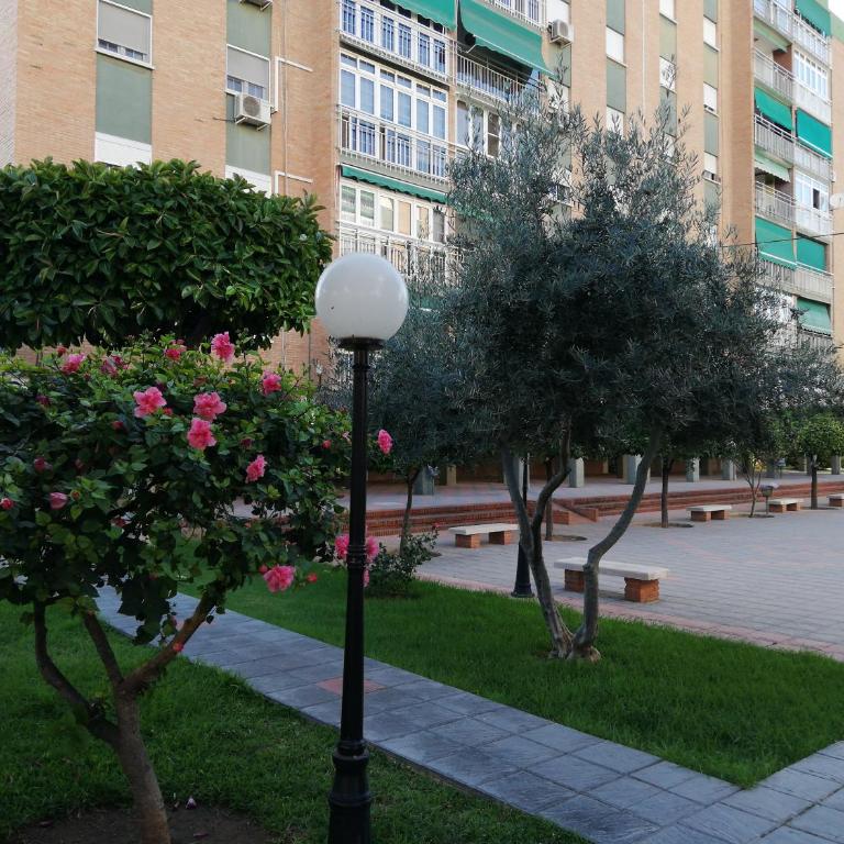 Apartamento Aurora - Apartamento - 52
