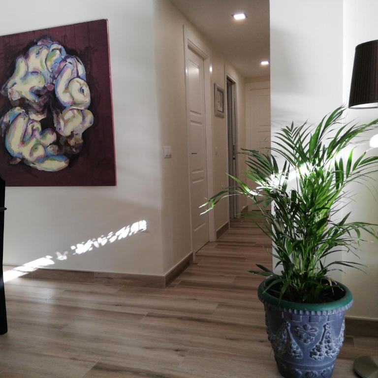 Apartamento Aurora - Apartamento - 15