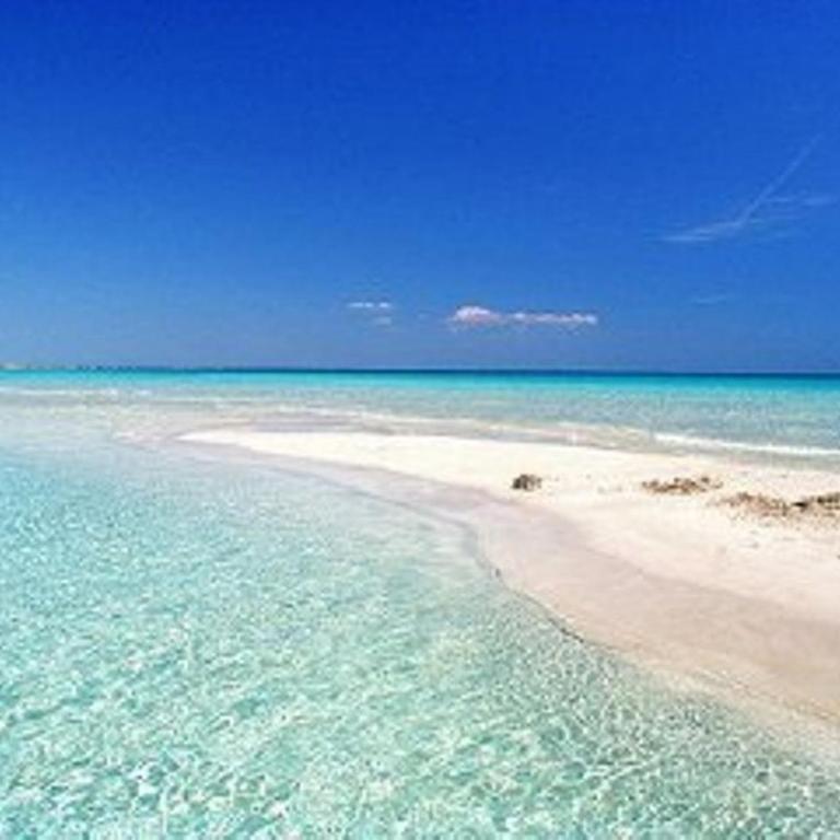 Appartamento vicino al mare - Appartamento - 7
