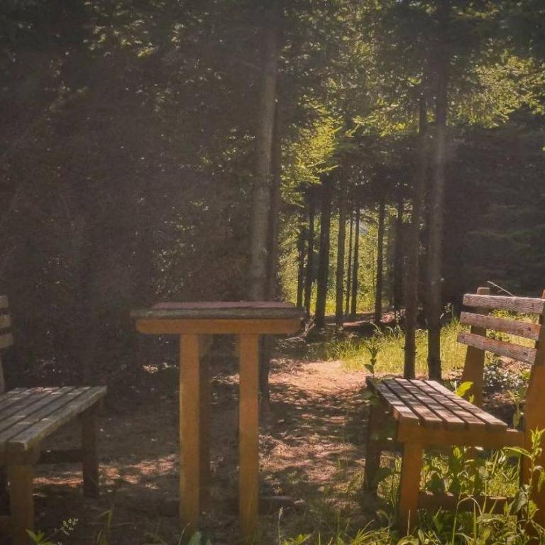 Green Forest Visoko - Gradska Kuća sa 3 Spavaće Sobe - 12