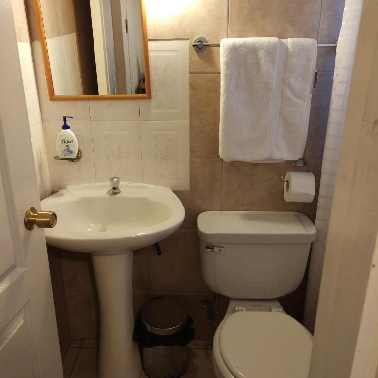 Apart Hotel Aleman - Apartamento - 2 niveles - 12