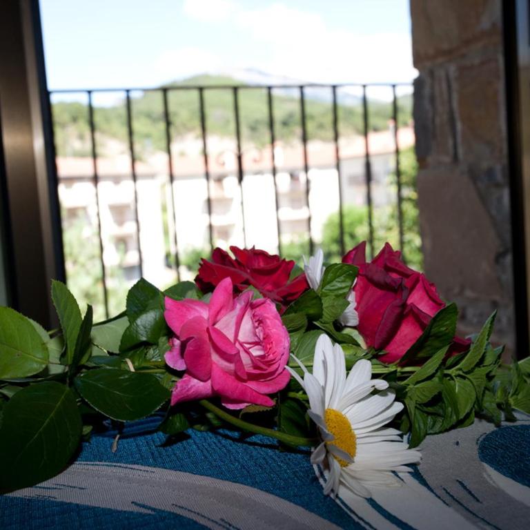 Casa Rural Sofia Ordesa - Appartement en Duplex - 3