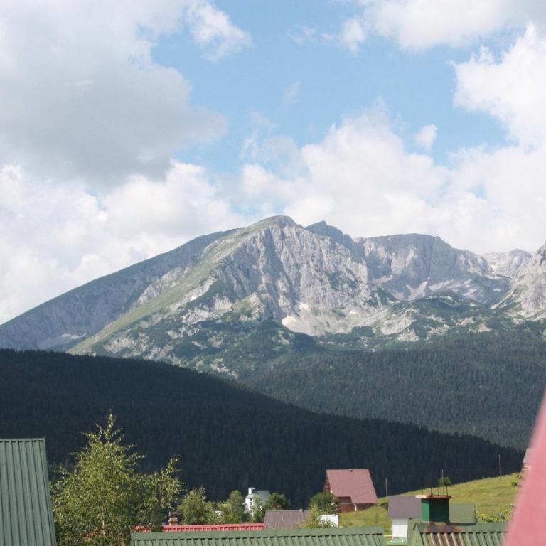 Apartmani Prisoje - Suite with Mountain View - 12