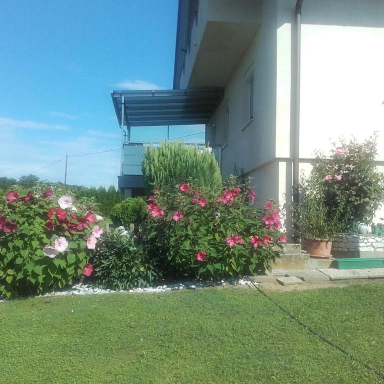 DAHOAM by Fam. FRANZ - Apartment mit Terrasse - 8